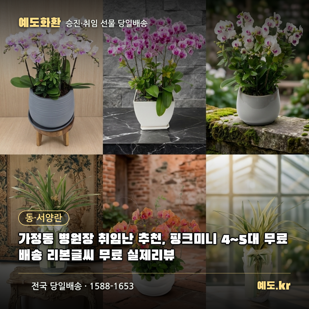 가정동 병원장 취임난 추천, 핑크미니 4~5대 무료배송 리본글씨 무료 실제리뷰 - 예도화환