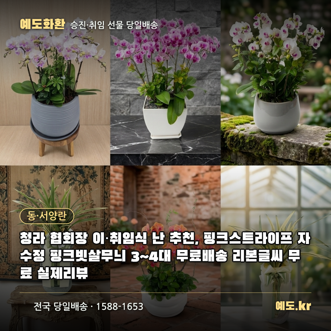 청라 협회장 이·취임식 난 추천, 핑크스트라이프 자수정 핑크빗살무늬 3~4대 무료배송 리본글씨 무료 실제리뷰 - 예도화환