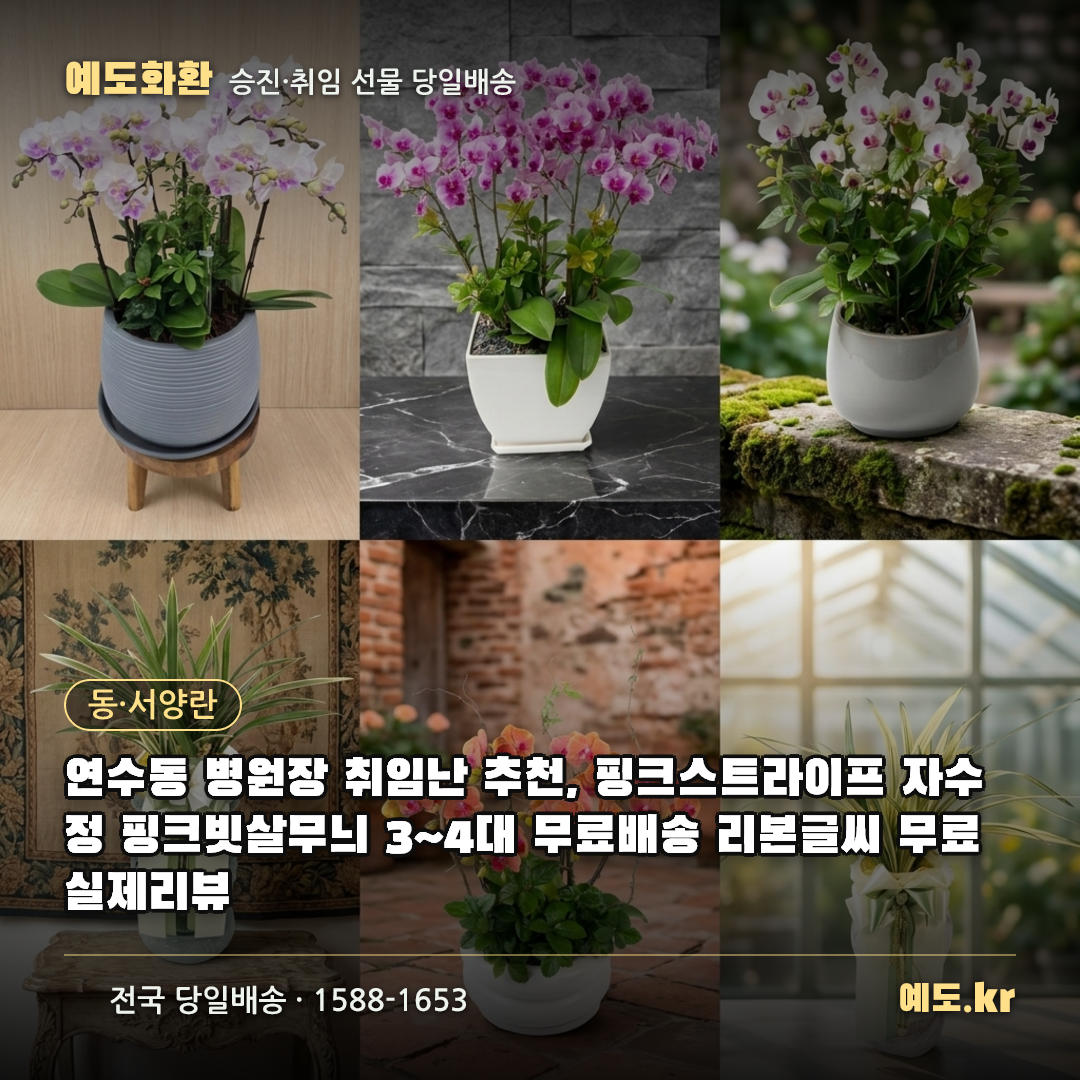 연수동 병원장 취임난 추천, 핑크스트라이프 자수정 핑크빗살무늬 3~4대 무료배송 리본글씨 무료 실제리뷰 - 예도화환