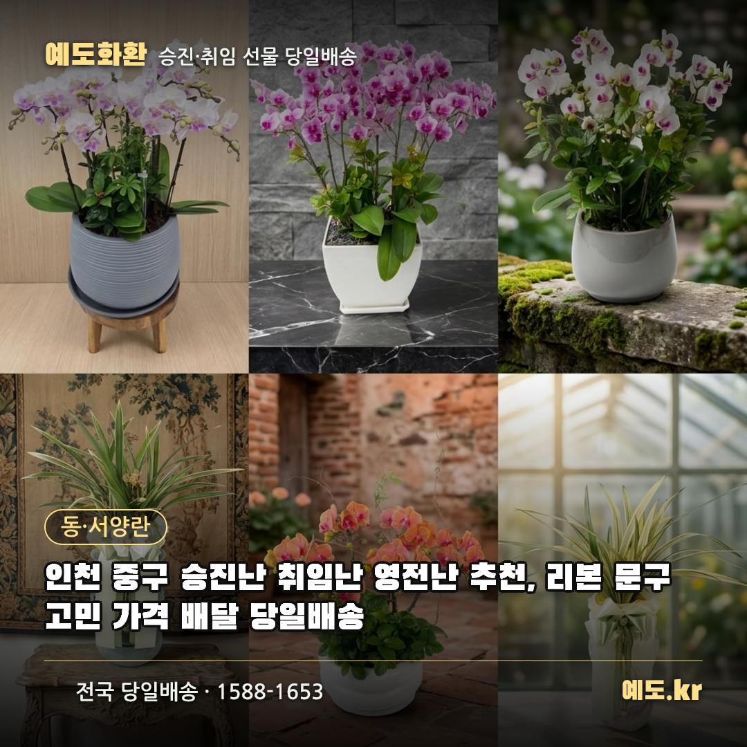인천 중구 승진난 취임난 영전난 추천, 리본 문구 고민 가격 배달 당일배송 - 예도화환