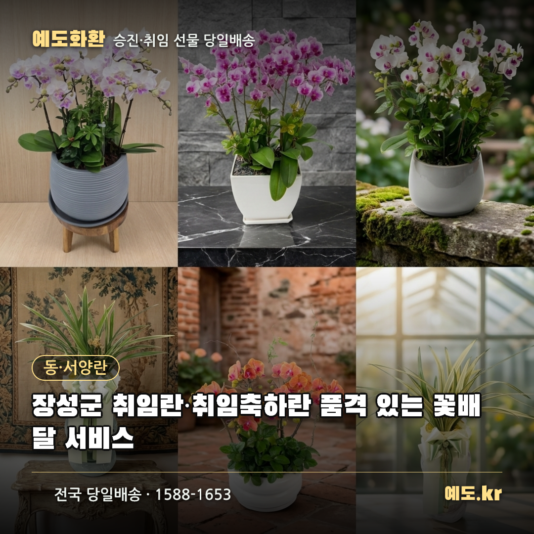 장성군 취임란·취임축하란 품격 있는 꽃배달 서비스 - 예도화환