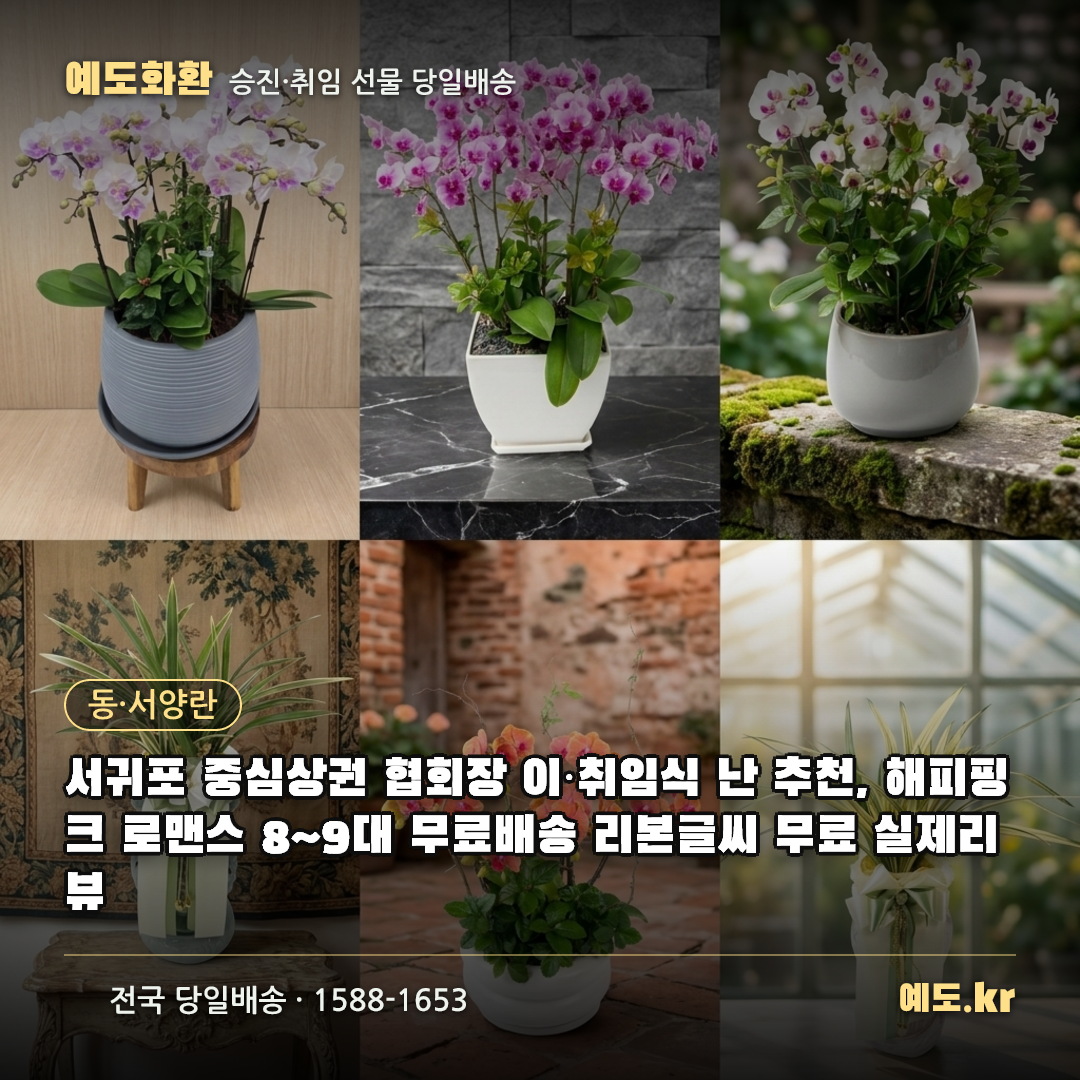 서귀포 중심상권 협회장 이·취임식 난 추천, 해피핑크 로맨스 8~9대 무료배송 리본글씨 무료 실제리뷰 - 예도화환