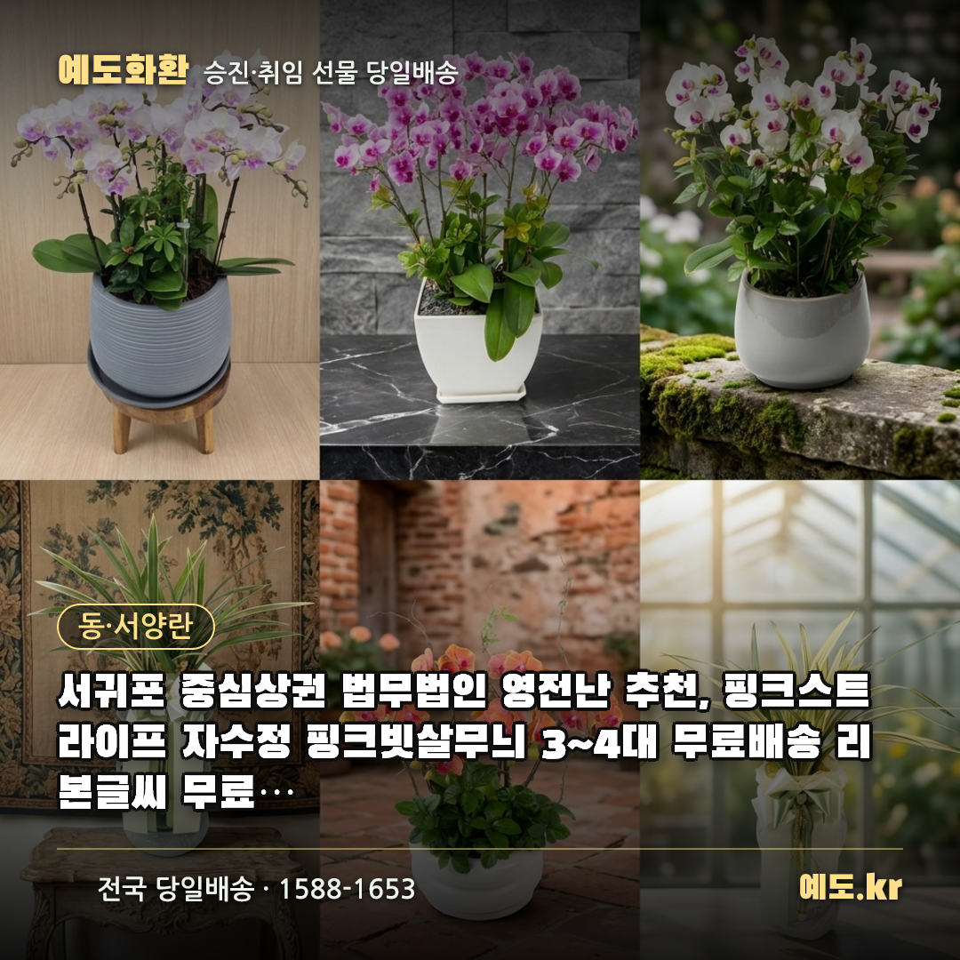 서귀포 중심상권 법무법인 영전난 추천, 핑크스트라이프 자수정 핑크빗살무늬 3~4대 무료배송 리본글씨 무료 실제리뷰 - 예도화환