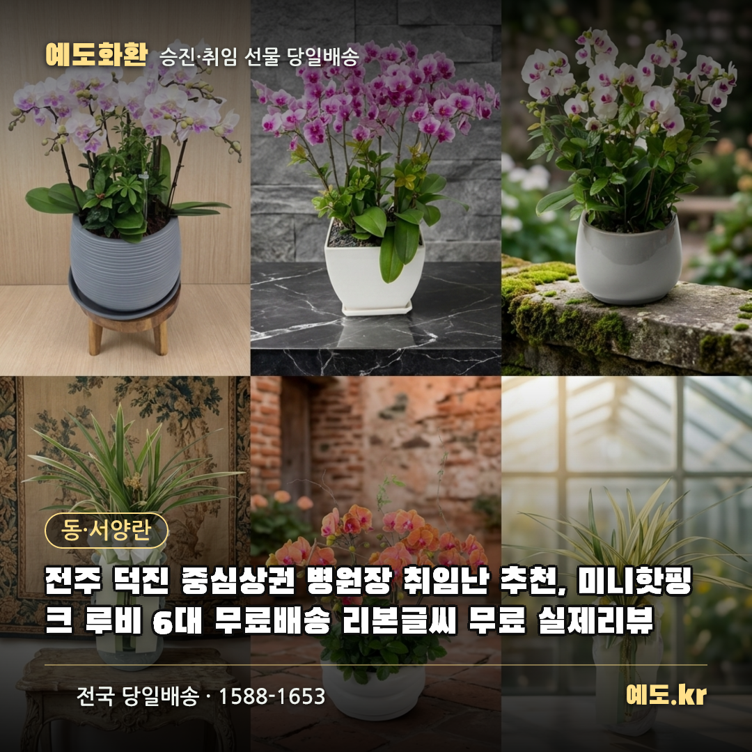 전주 덕진 중심상권 병원장 취임난 추천, 미니핫핑크 루비 6대 무료배송 리본글씨 무료 실제리뷰 - 예도화환