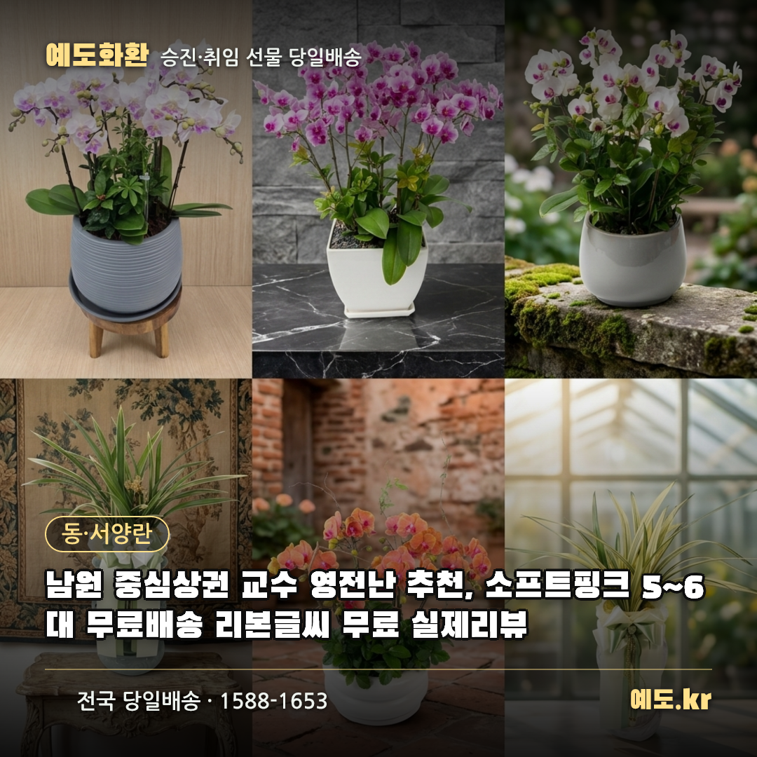 남원 중심상권 교수 영전난 추천, 소프트핑크 5~6대 무료배송 리본글씨 무료 실제리뷰 - 예도화환