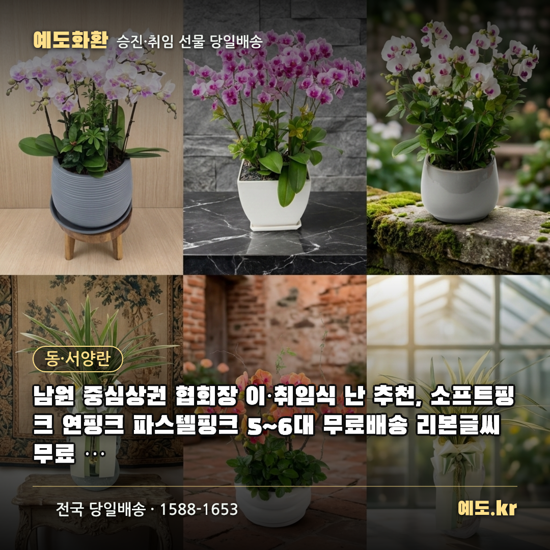 남원 중심상권 협회장 이·취임식 난 추천, 소프트핑크 연핑크 파스텔핑크 5~6대 무료배송 리본글씨 무료 실제리뷰 - 예도화환