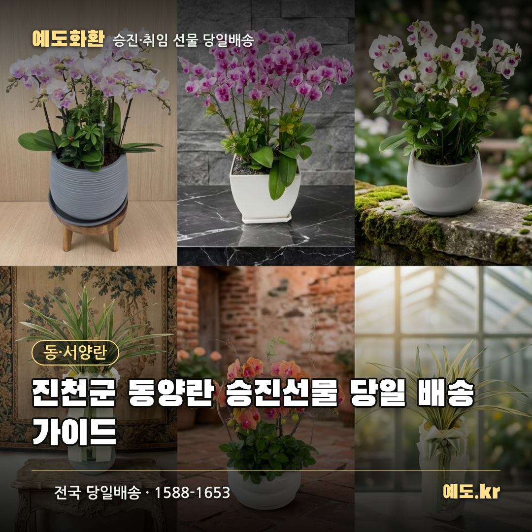 진천군 동양란 승진선물 당일 배송 가이드 - 예도화환