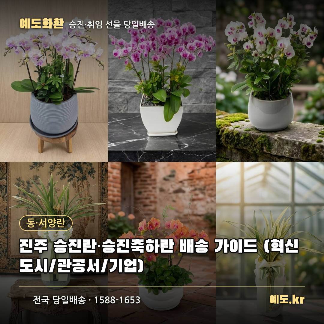 진주 승진란·승진축하란 배송 가이드 (혁신도시/관공서/기업) - 예도화환