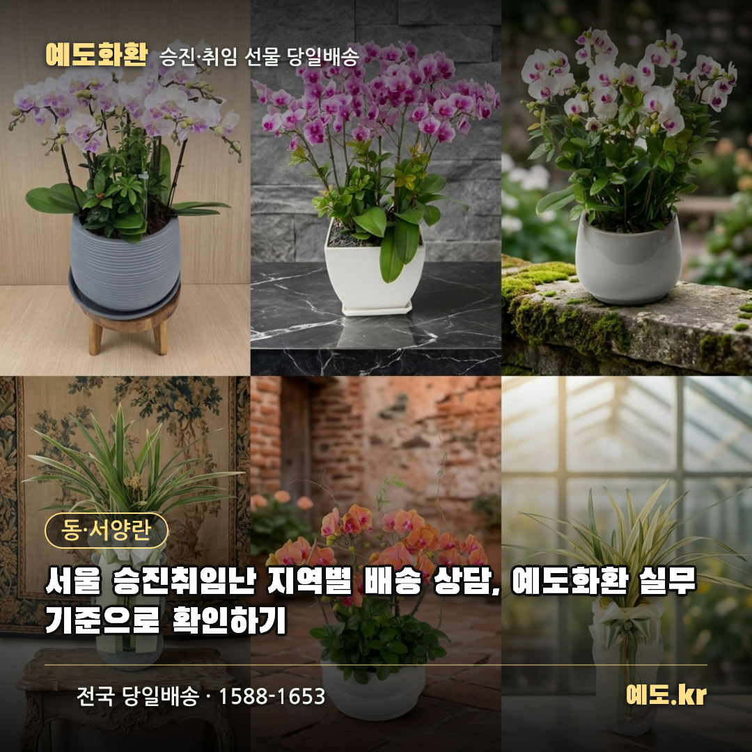 서울 승진취임난 지역별 배송 상담, 예도화환 실무 기준으로 확인하기 - 예도화환