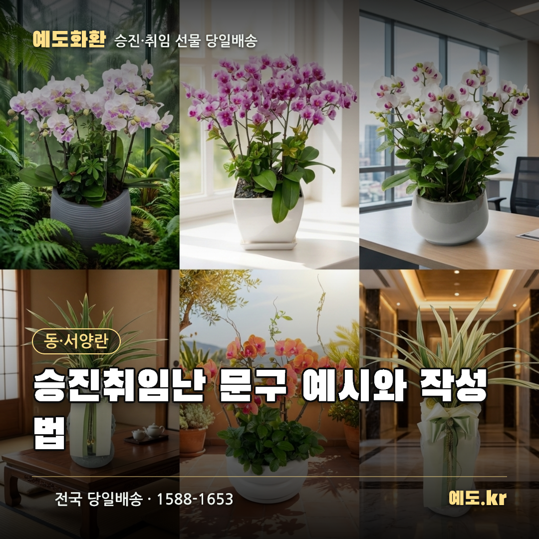 승진취임난 문구 예시와 작성법 - 예도화환