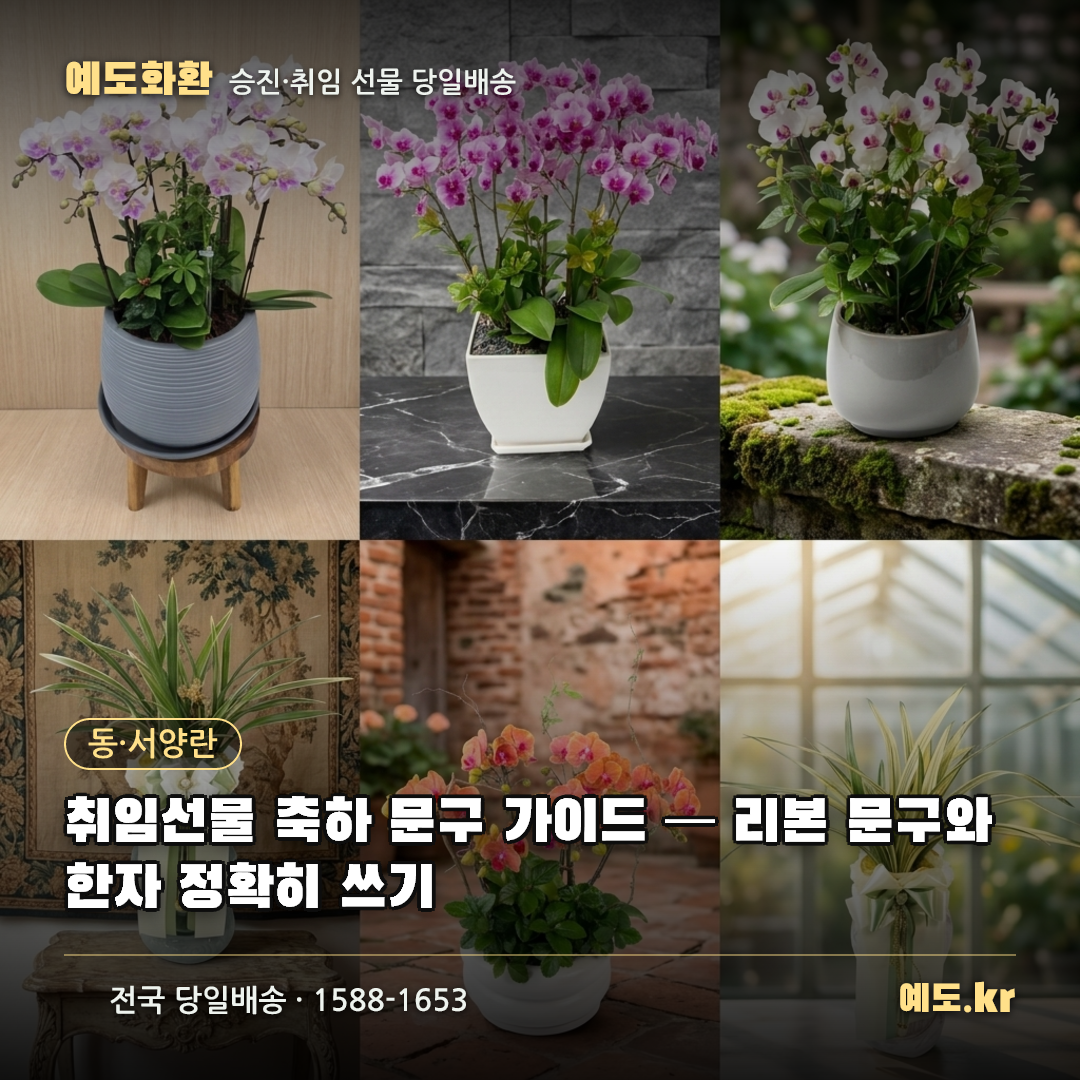 취임선물 축하 문구 가이드 — 리본 문구와 한자 정확히 쓰기 - 예도화환
