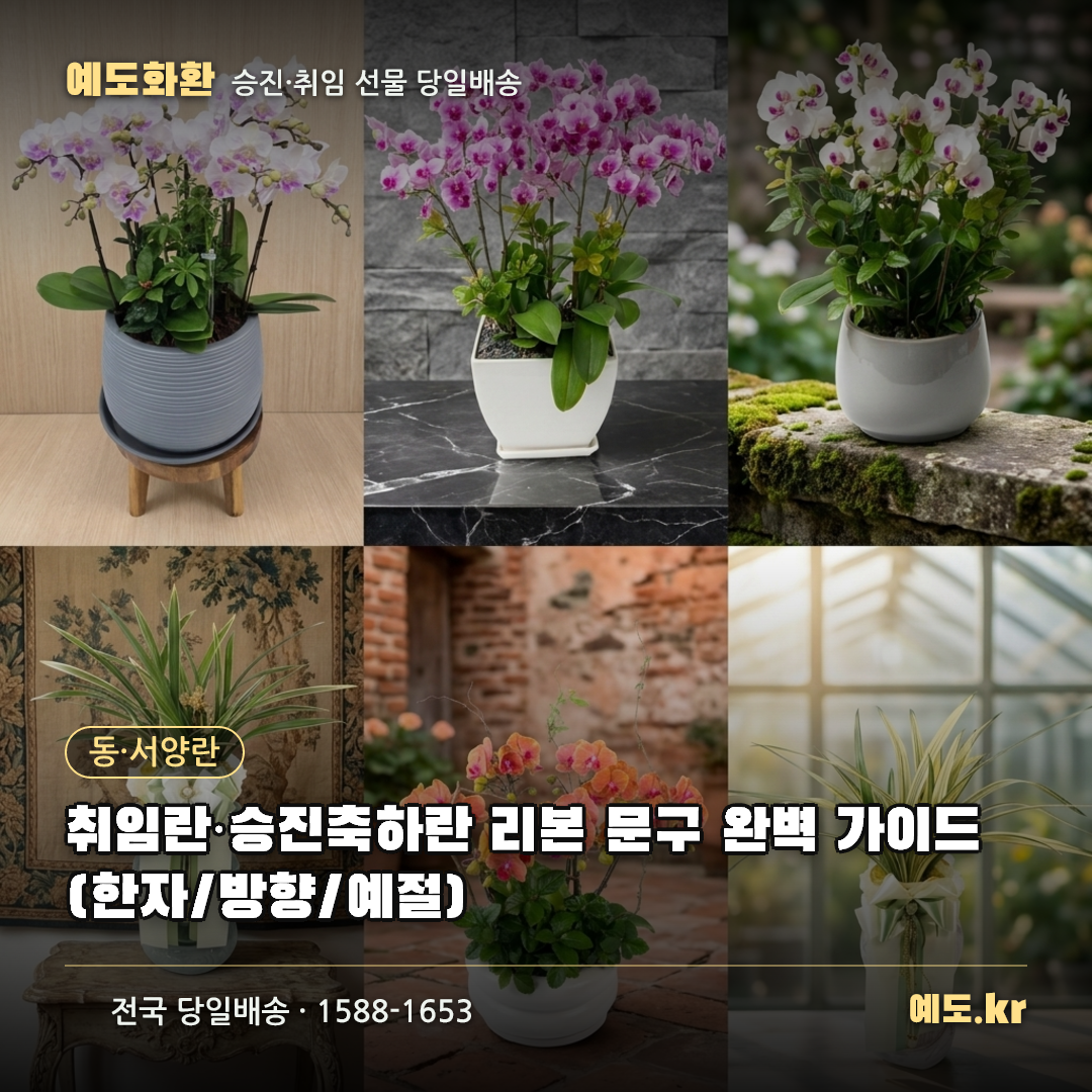 취임란·승진축하란 리본 문구 완벽 가이드 (한자/방향/예절) - 예도화환