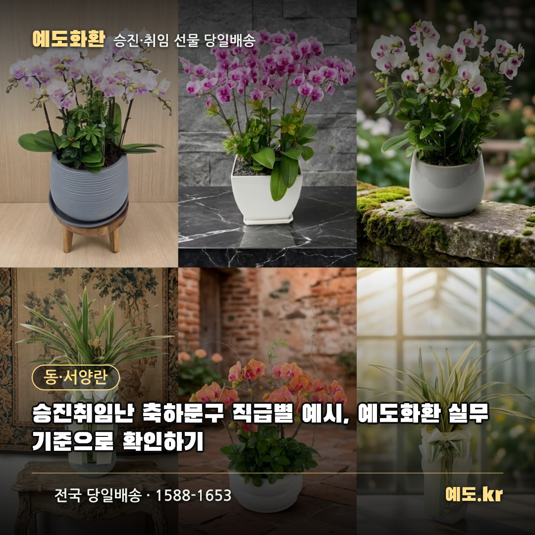 승진취임난 축하문구 직급별 예시, 예도화환 실무 기준으로 확인하기 - 예도화환