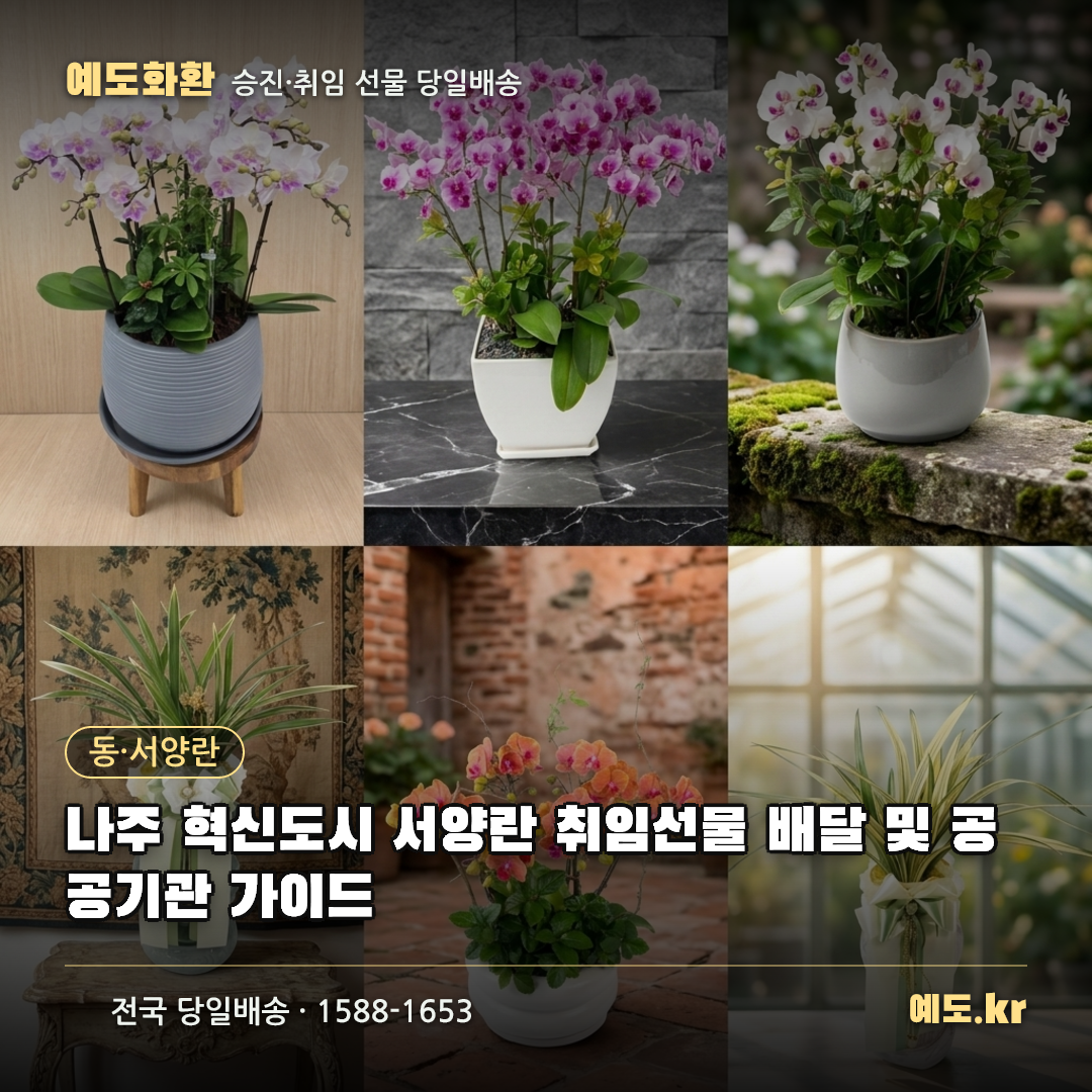 나주 혁신도시 서양란 취임선물 배달 및 공공기관 가이드 - 예도화환