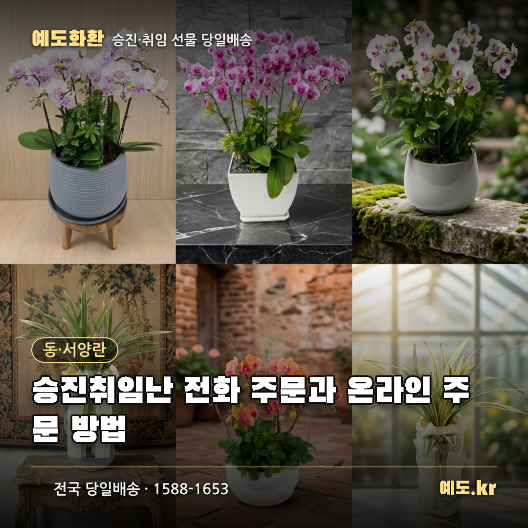 승진취임난 전화 주문과 온라인 주문 방법 - 예도화환