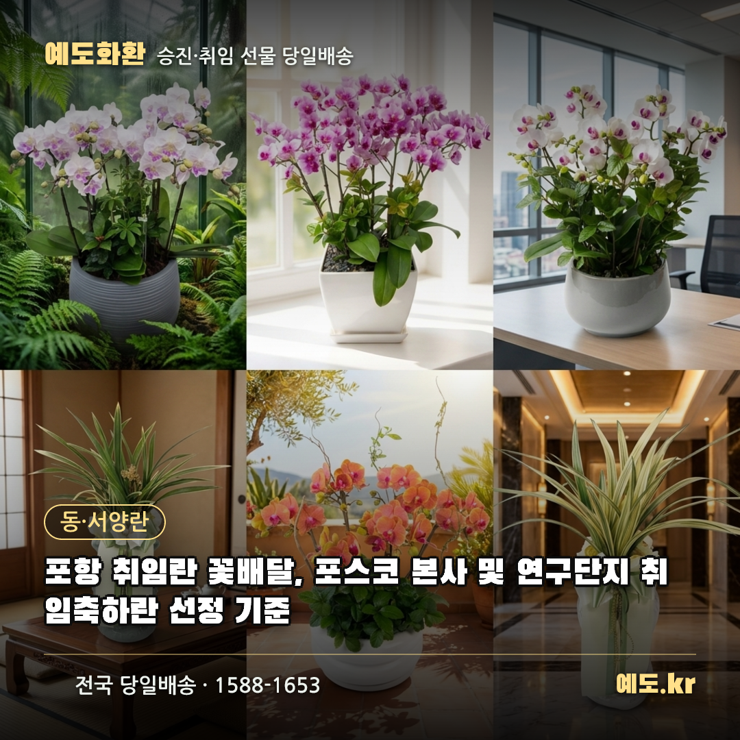 포항 취임란 꽃배달, 포스코 본사 및 연구단지 취임축하란 선정 기준 - 예도화환