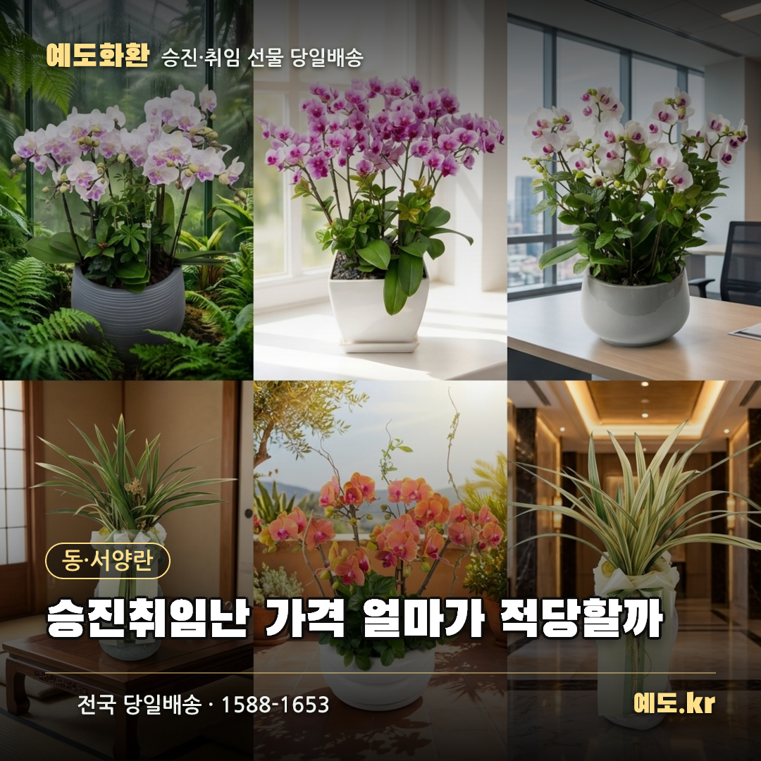 승진취임난 가격 얼마가 적당할까 - 예도화환