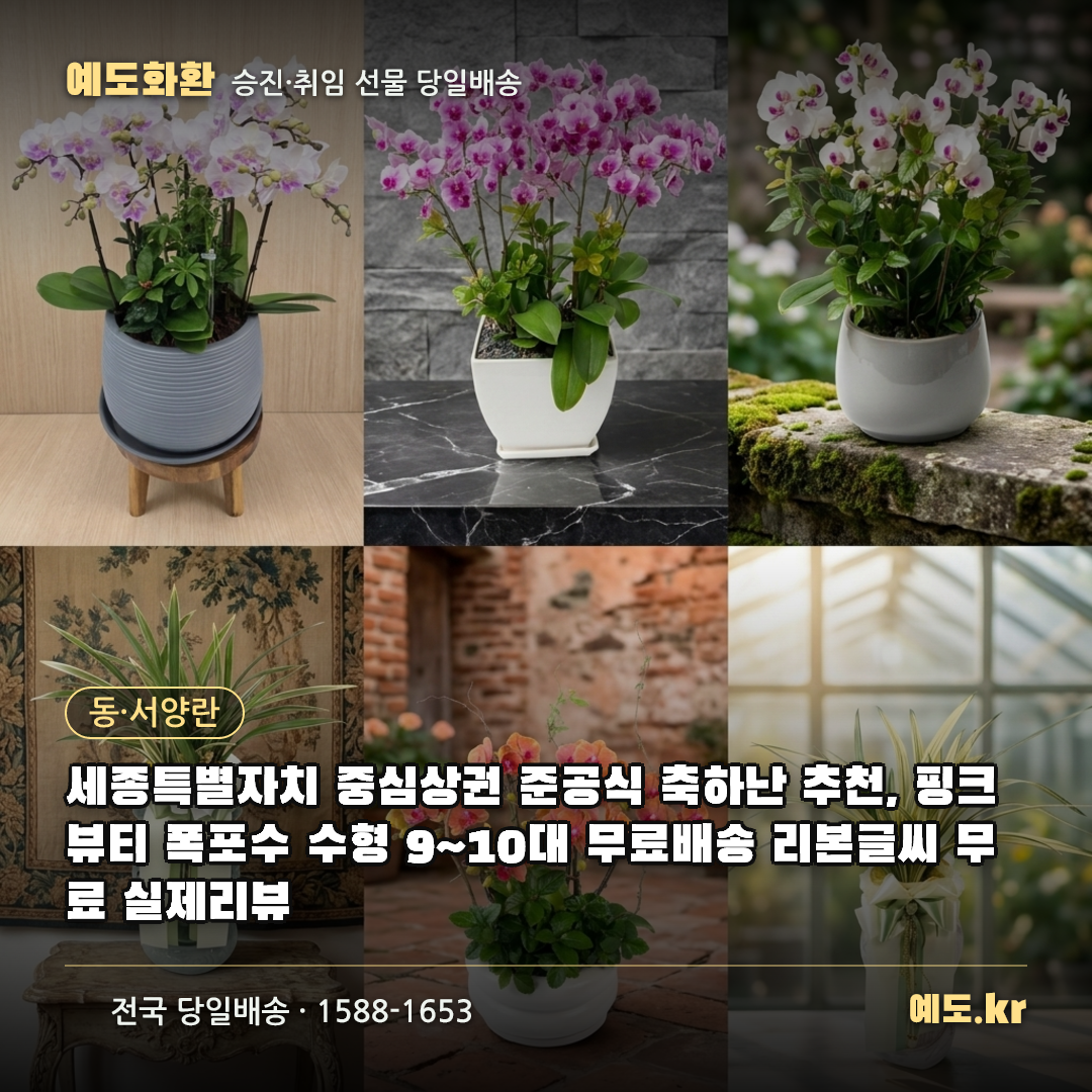 세종특별자치 중심상권 준공식 축하난 추천, 핑크뷰티 폭포수 수형 9~10대 무료배송 리본글씨 무료 실제리뷰 - 예도화환