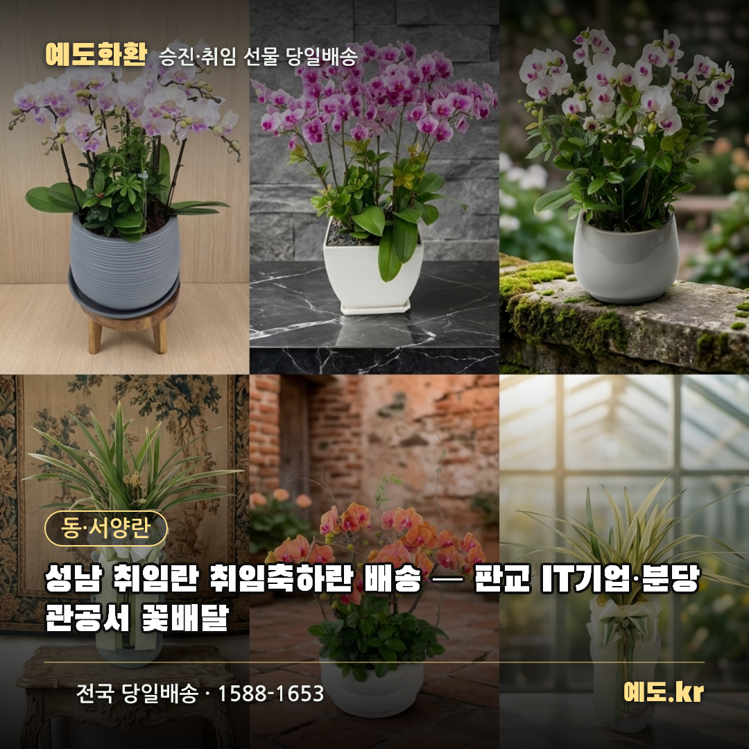 성남 취임란 취임축하란 배송 — 판교 IT기업·분당 관공서 꽃배달 - 예도화환