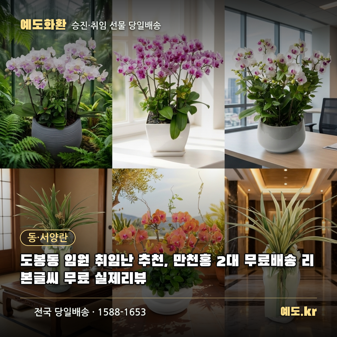도봉동 임원 취임난 추천, 만천홍 2대 무료배송 리본글씨 무료 실제리뷰 - 예도화환