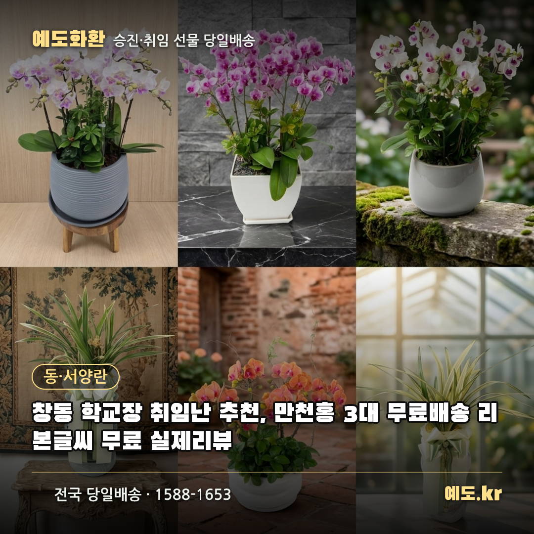 창동 학교장 취임난 추천, 만천홍 3대 무료배송 리본글씨 무료 실제리뷰 - 예도화환