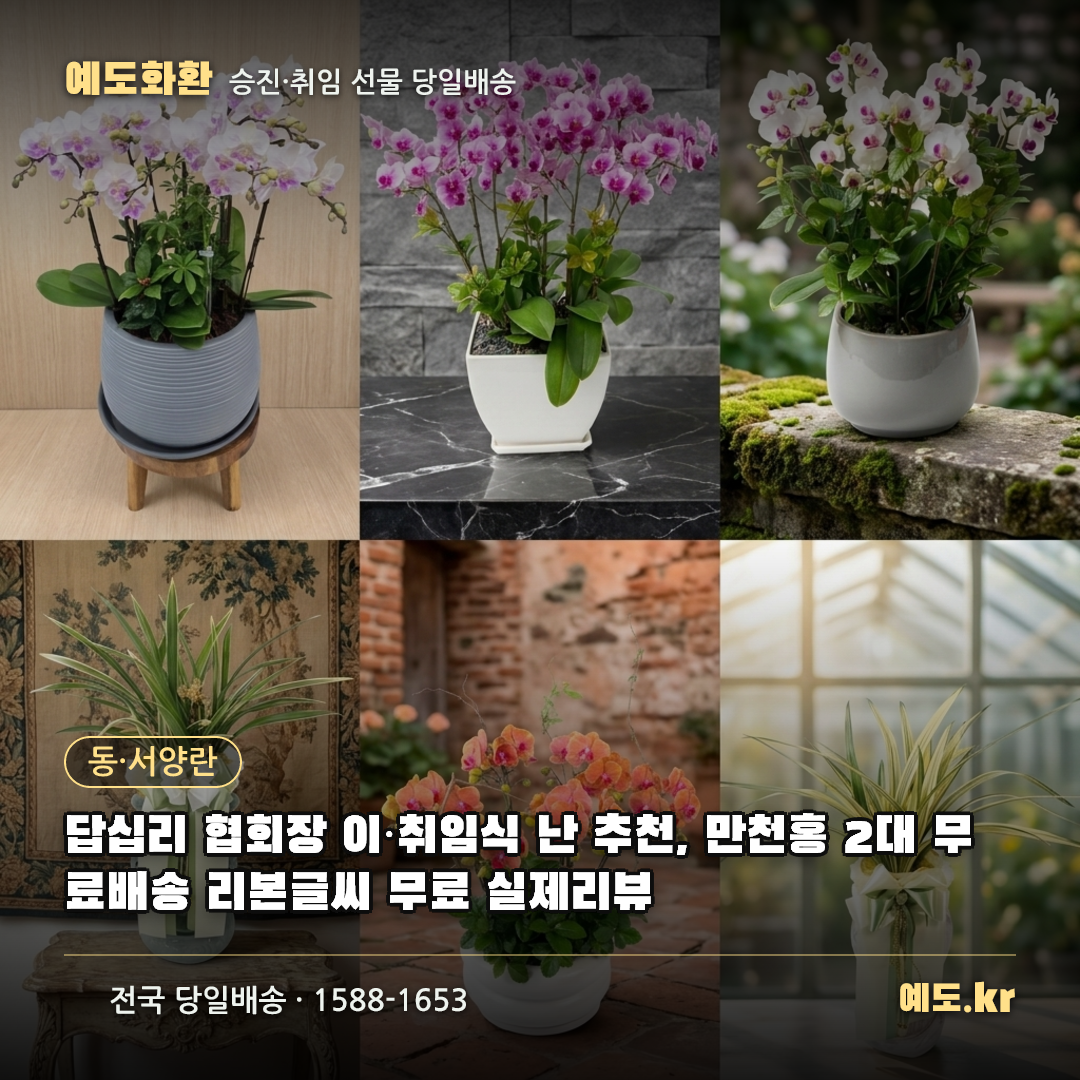 답십리 협회장 이·취임식 난 추천, 만천홍 2대 무료배송 리본글씨 무료 실제리뷰 - 예도화환