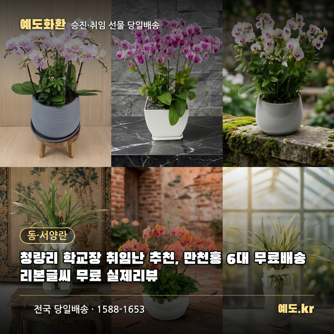청량리 학교장 취임난 추천, 만천홍 6대 무료배송 리본글씨 무료 실제리뷰 - 예도화환
