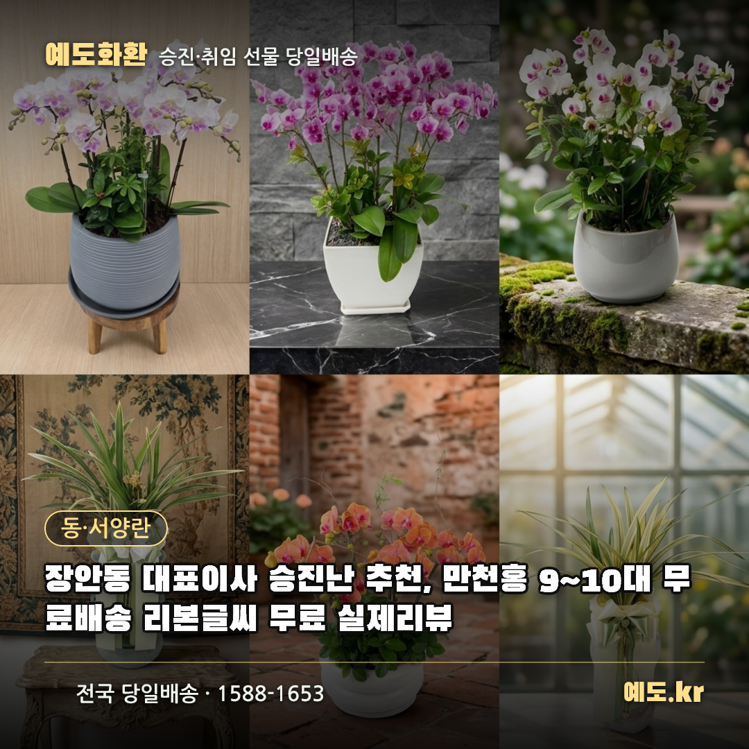장안동 대표이사 승진난 추천, 만천홍 9~10대 무료배송 리본글씨 무료 실제리뷰 - 예도화환