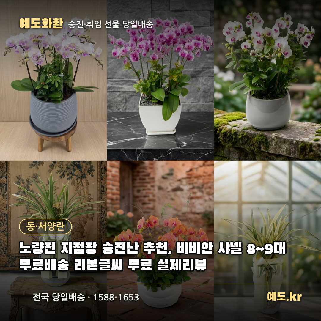 노량진 지점장 승진난 추천, 비비안 샤넬 8~9대 무료배송 리본글씨 무료 실제리뷰 - 예도화환