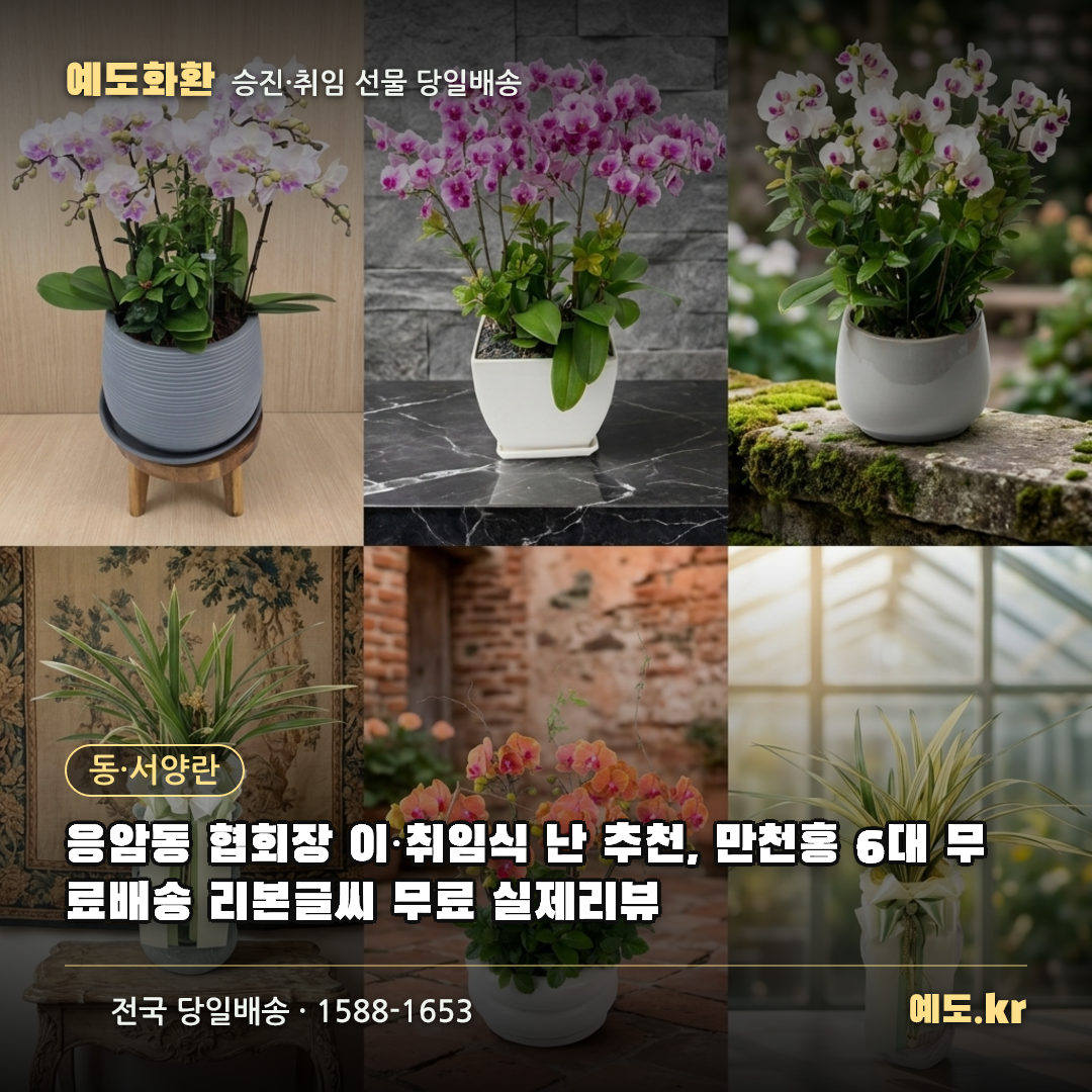 응암동 협회장 이·취임식 난 추천, 만천홍 6대 무료배송 리본글씨 무료 실제리뷰 - 예도화환