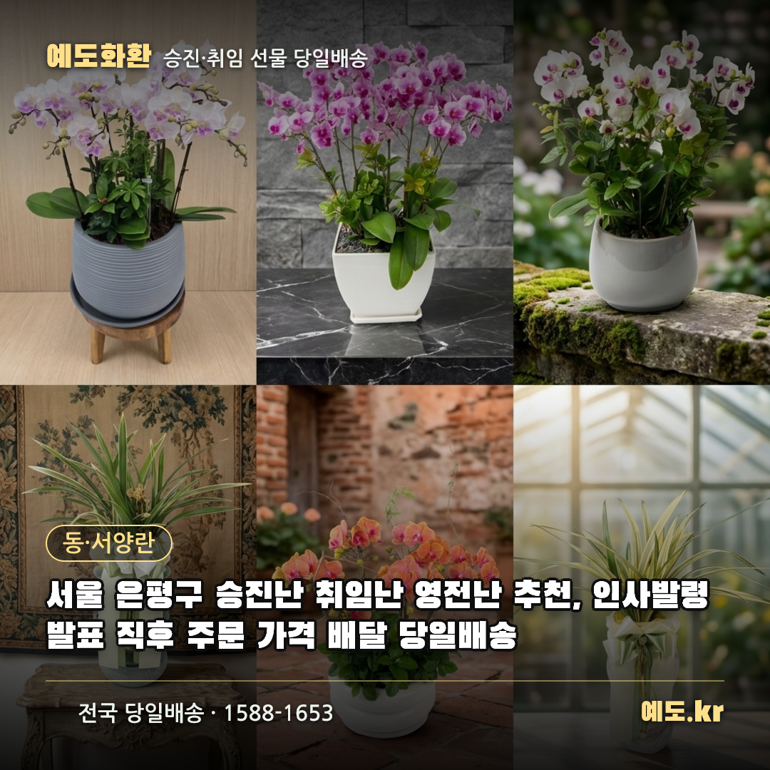 서울 은평구 승진난 취임난 영전난 추천, 인사발령 발표 직후 주문 가격 배달 당일배송 - 예도화환