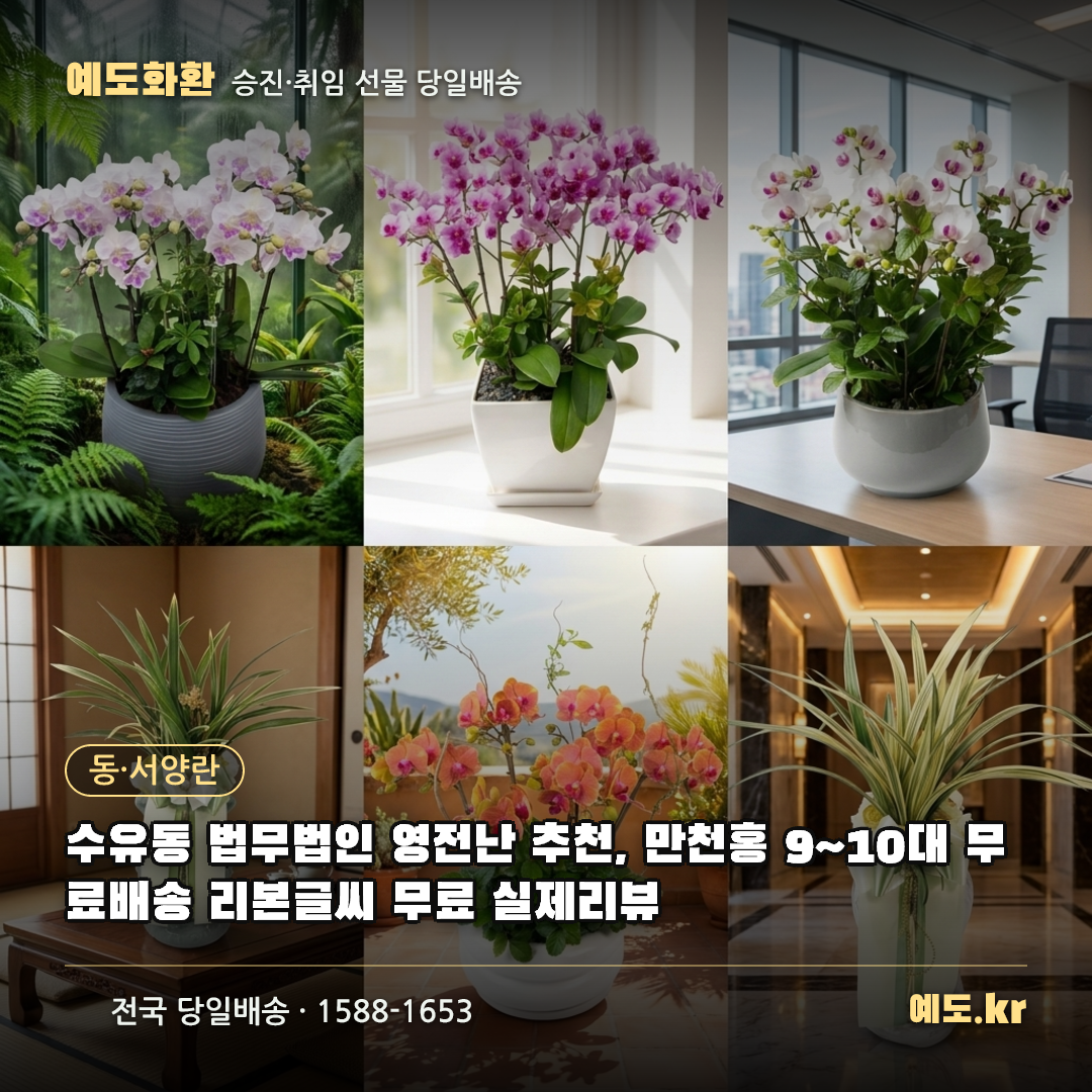 수유동 법무법인 영전난 추천, 만천홍 9~10대 무료배송 리본글씨 무료 실제리뷰 - 예도화환