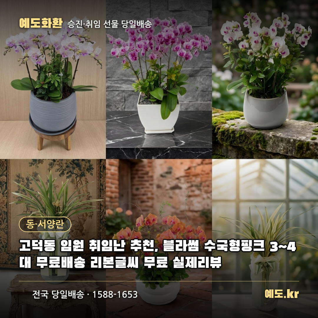 고덕동 임원 취임난 추천, 블라썸 수국형핑크 3~4대 무료배송 리본글씨 무료 실제리뷰 - 예도화환