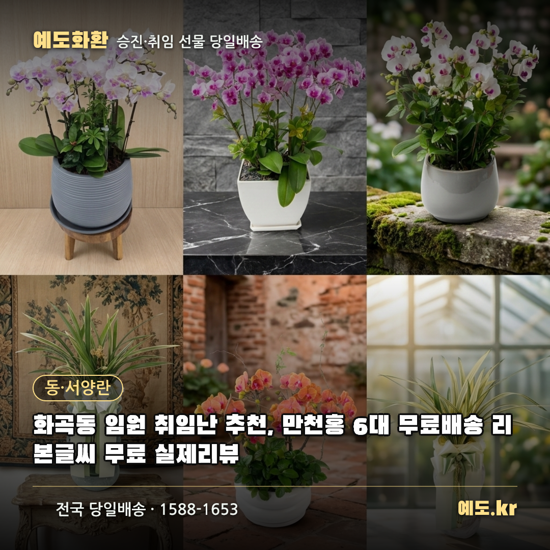 화곡동 임원 취임난 추천, 만천홍 6대 무료배송 리본글씨 무료 실제리뷰 - 예도화환