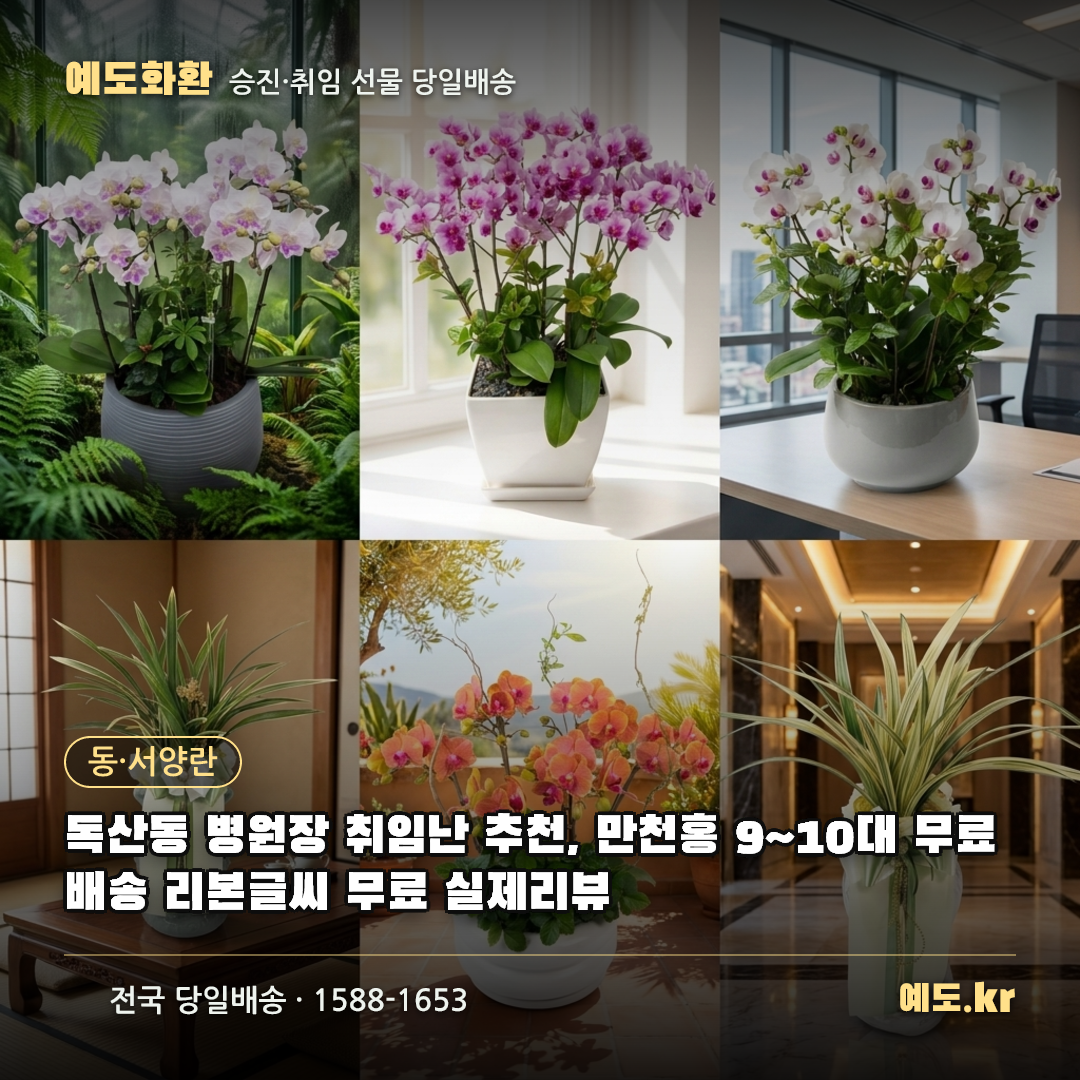 독산동 병원장 취임난 추천, 만천홍 9~10대 무료배송 리본글씨 무료 실제리뷰 - 예도화환
