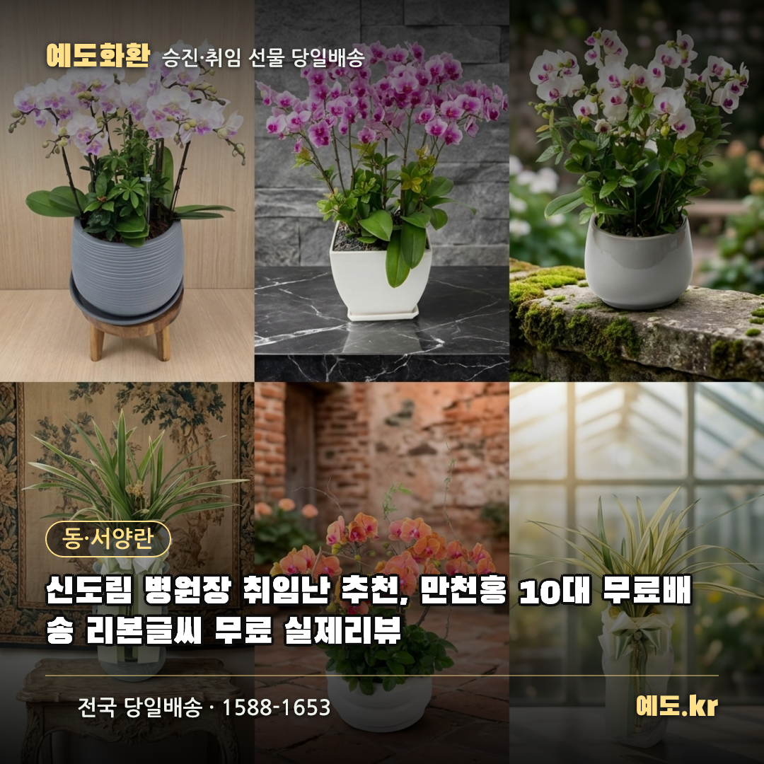 신도림 병원장 취임난 추천, 만천홍 10대 무료배송 리본글씨 무료 실제리뷰 - 예도화환