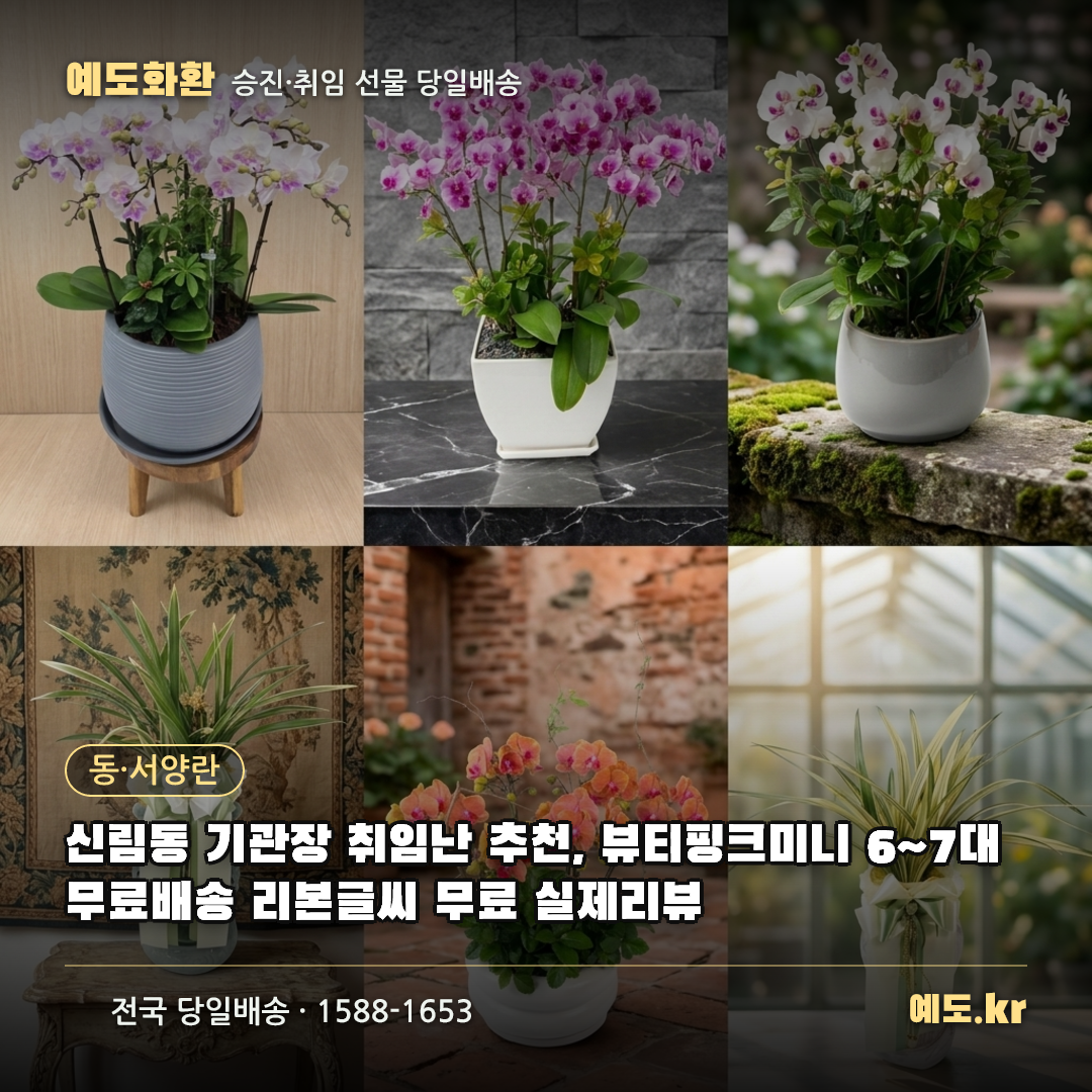 신림동 기관장 취임난 추천, 뷰티핑크미니 6~7대 무료배송 리본글씨 무료 실제리뷰 - 예도화환