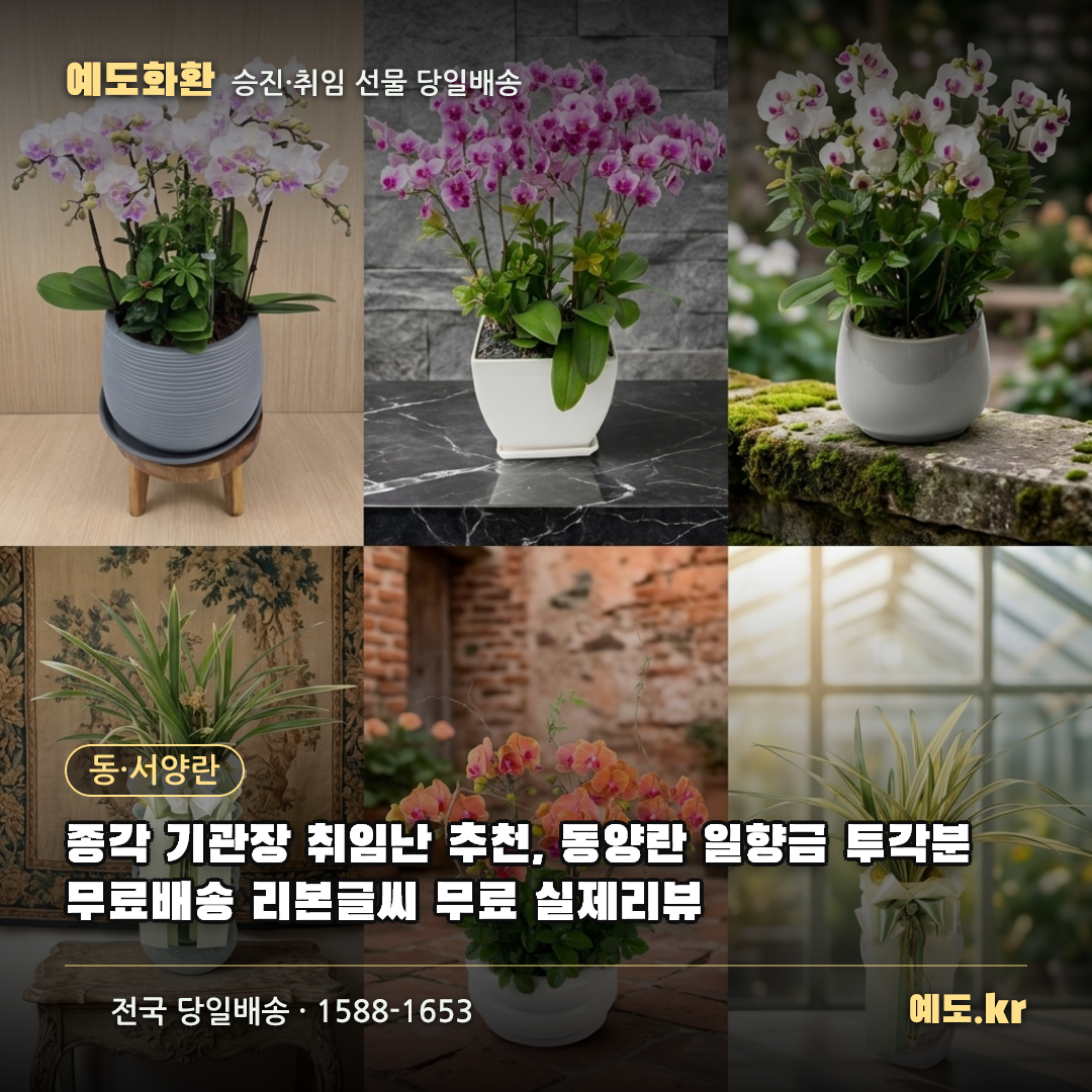 종각 기관장 취임난 추천, 동양란 일향금 투각분 무료배송 리본글씨 무료 실제리뷰 - 예도화환