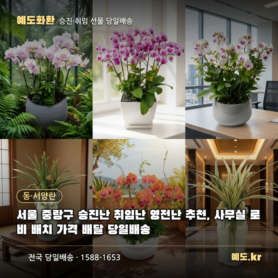서울 중랑구 승진난 취임난 영전난 추천, 사무실 로비 배치 가격 배달 당일배송 - 예도화환