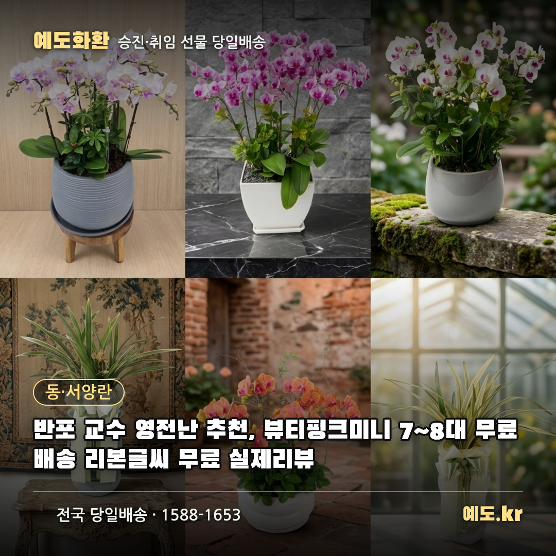 반포 교수 영전난 추천, 뷰티핑크미니 7~8대 무료배송 리본글씨 무료 실제리뷰 - 예도화환