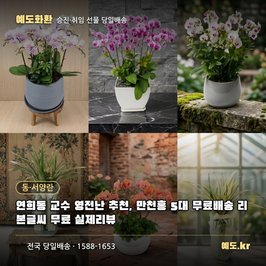 연희동 교수 영전난 추천, 만천홍 5대 무료배송 리본글씨 무료 실제리뷰 - 예도화환