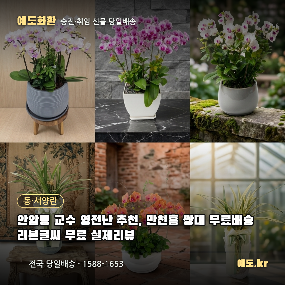 안암동 교수 영전난 추천, 만천홍 쌍대 무료배송 리본글씨 무료 실제리뷰 - 예도화환