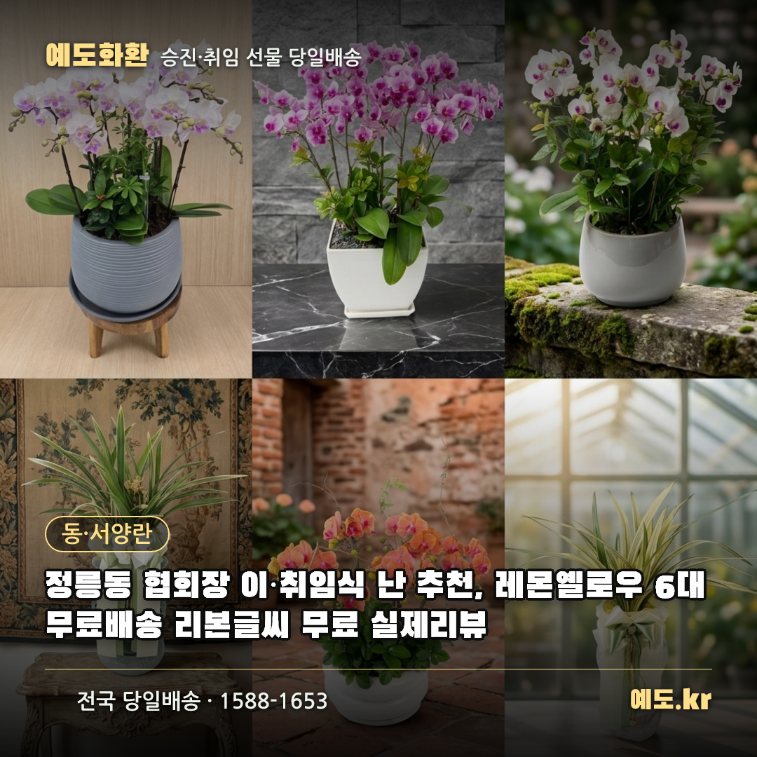 정릉동 협회장 이·취임식 난 추천, 레몬옐로우 6대 무료배송 리본글씨 무료 실제리뷰 - 예도화환