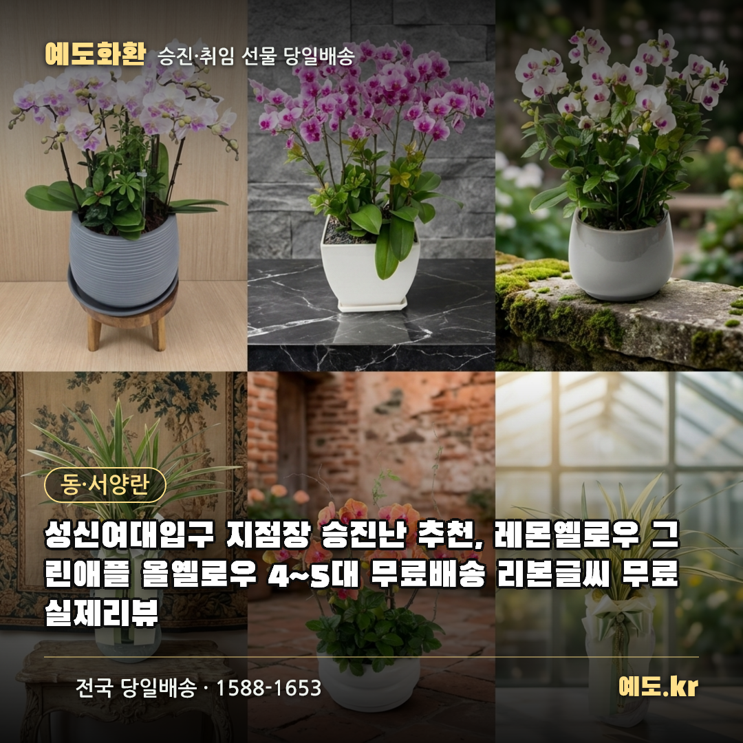 성신여대입구 지점장 승진난 추천, 레몬옐로우 그린애플 올옐로우 4~5대 무료배송 리본글씨 무료 실제리뷰 - 예도화환