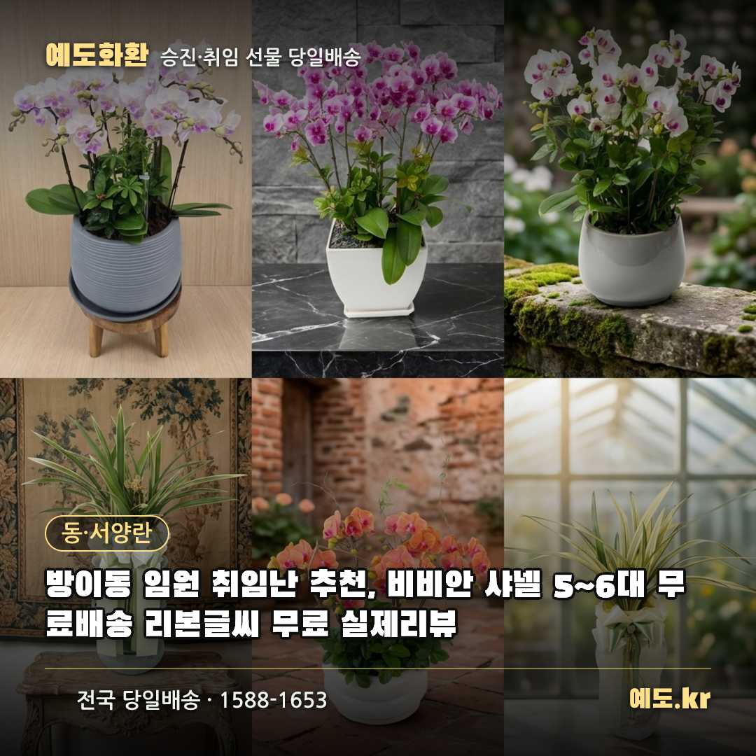 방이동 임원 취임난 추천, 비비안 샤넬 5~6대 무료배송 리본글씨 무료 실제리뷰 - 예도화환
