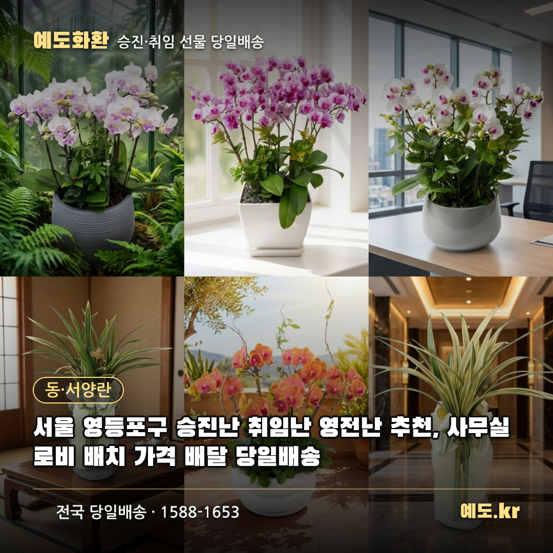 서울 영등포구 승진난 취임난 영전난 추천, 사무실 로비 배치 가격 배달 당일배송 - 예도화환