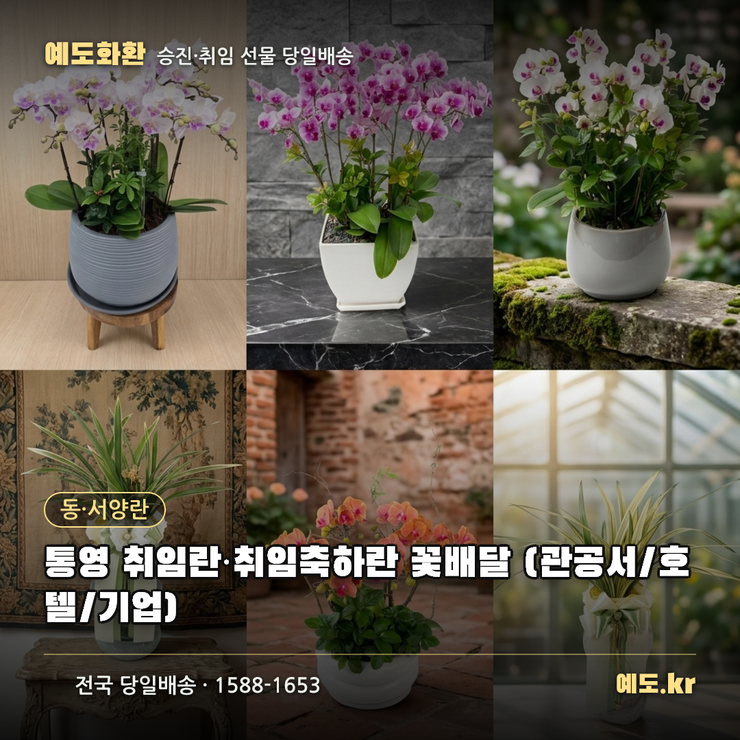 통영 취임란·취임축하란 꽃배달 (관공서/호텔/기업) - 예도화환