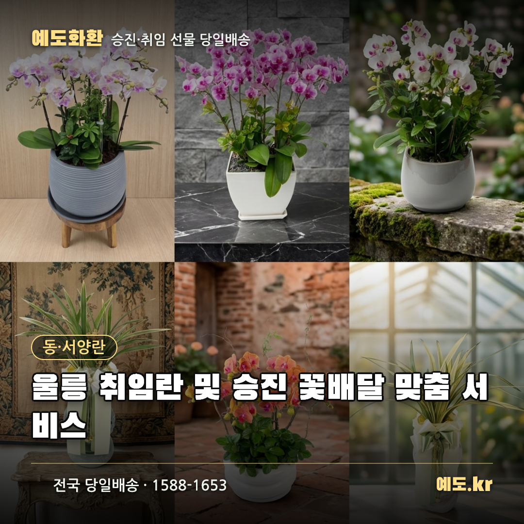 울릉 취임란 및 승진 꽃배달 맞춤 서비스 - 예도화환
