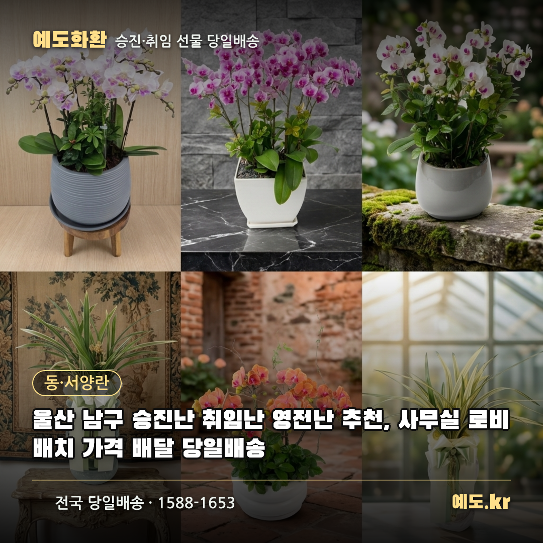 울산 남구 승진난 취임난 영전난 추천, 사무실 로비 배치 가격 배달 당일배송 - 예도화환