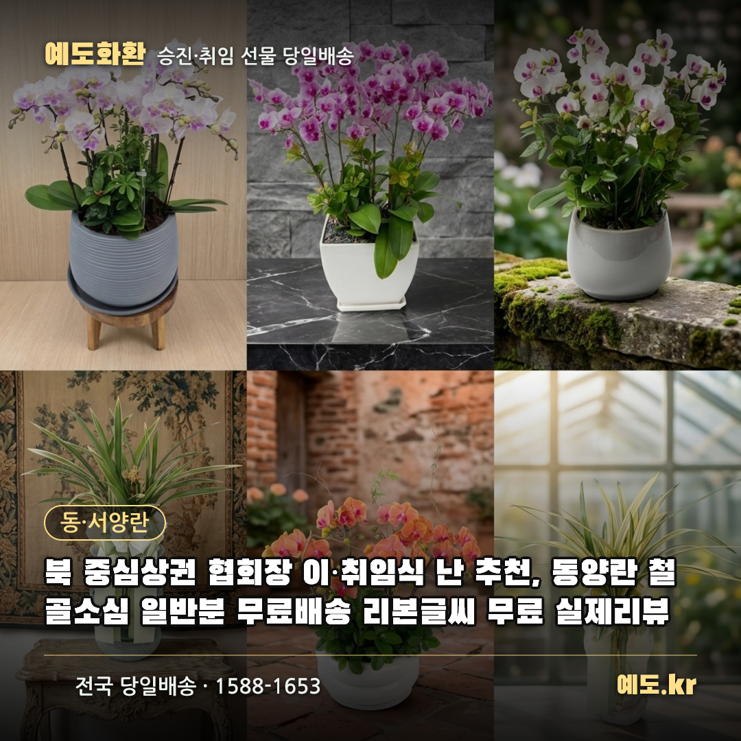 북 중심상권 협회장 이·취임식 난 추천, 동양란 철골소심 일반분 무료배송 리본글씨 무료 실제리뷰 - 예도화환